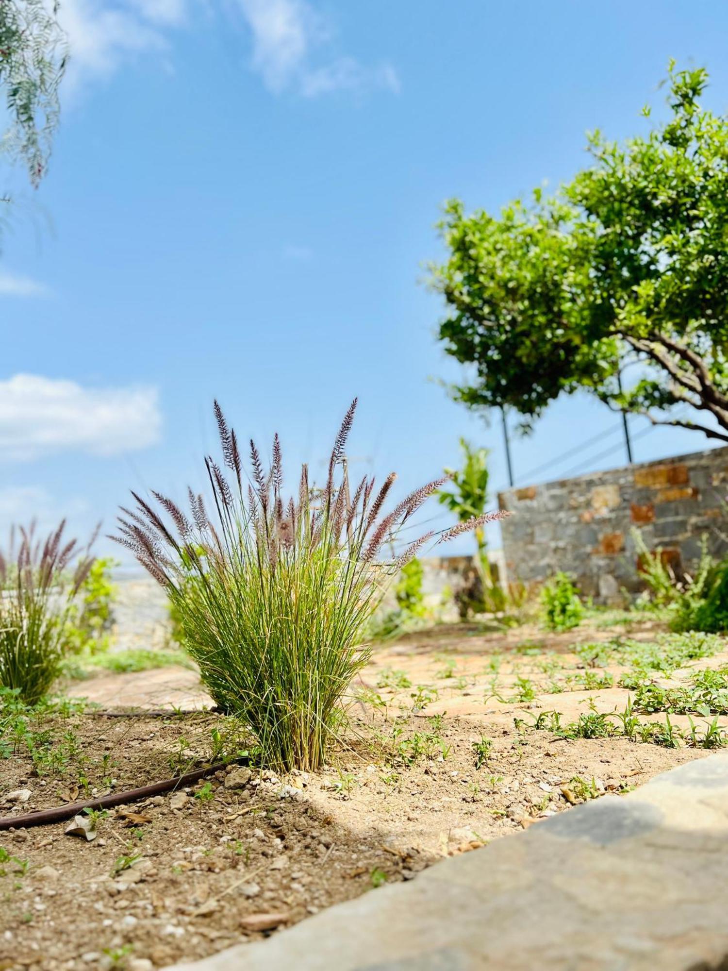 Gioma Garden Villas Istro Exterior foto