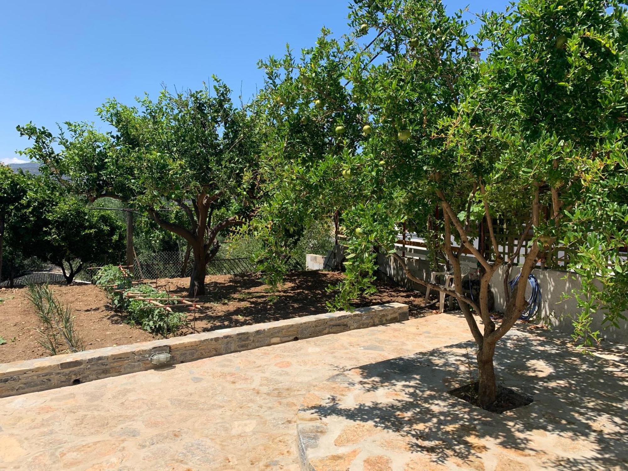 Gioma Garden Villas Istro Exterior foto